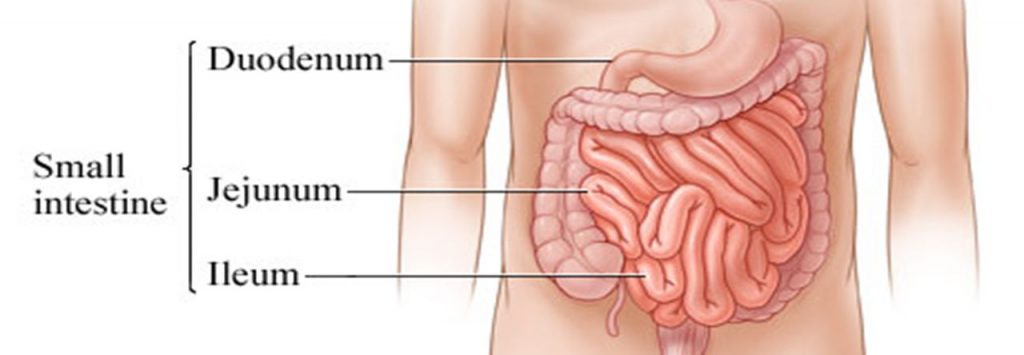 Surgical Procedures