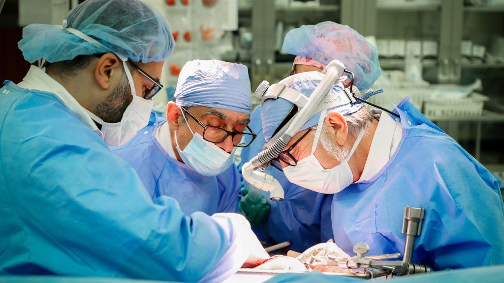 organ transplantation surgery