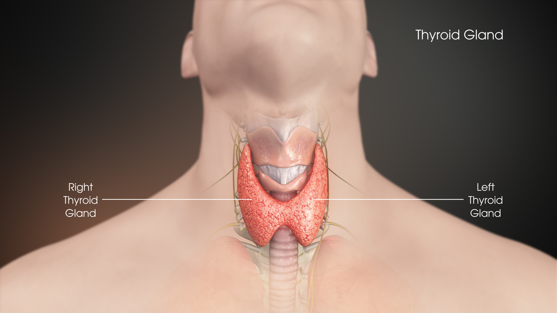 Thyroid gland operations