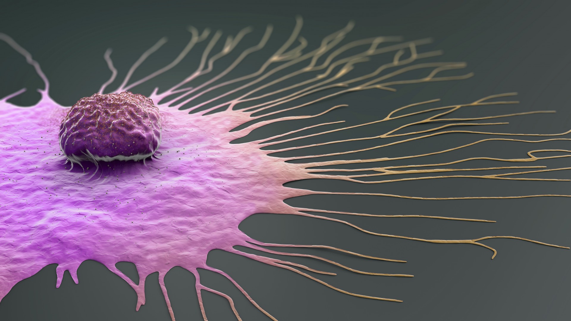 كيف تموت الخلايا السرطانية